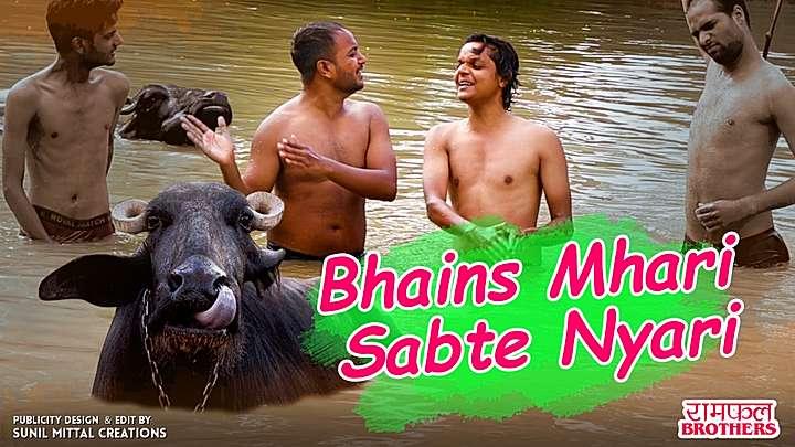 Bhains Mahari Sabte Nyari