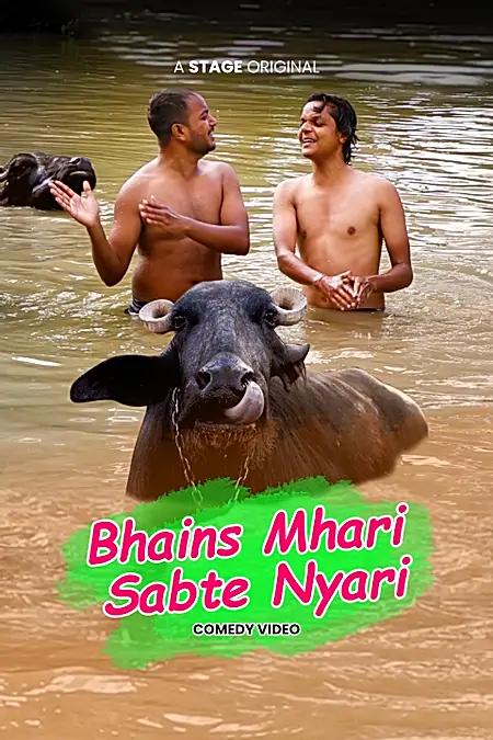 Bhains Mahari Sabte Nyari